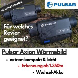 Pulsar Axion Übersicht - Thumbnail