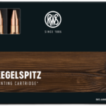 RWS .300 WIN MAG Kegelspitz 10,7g/165grs.